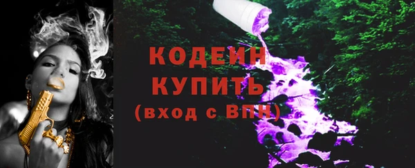дживик Абаза